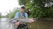 Rainbow trout 1